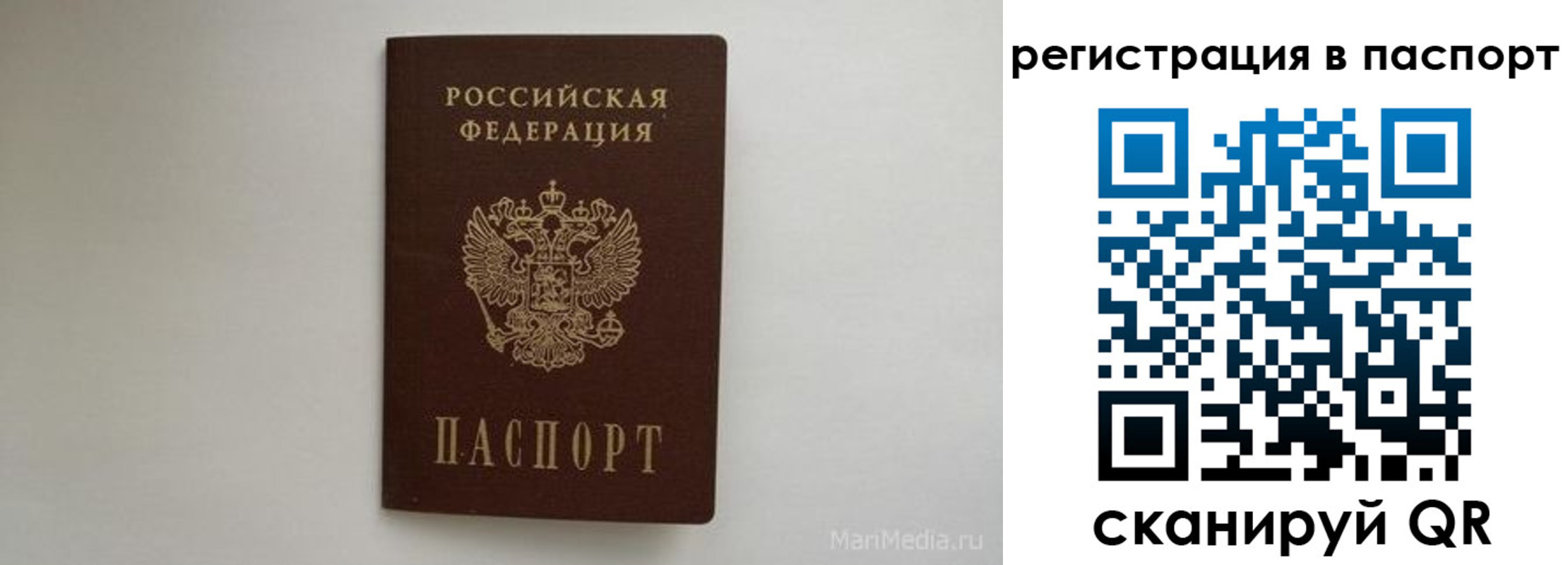 прописка в Алексеевке